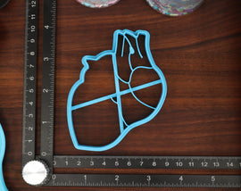 Anatomical Organs Cookie Cutters, Set 1 - Human Brain, Heart , Liver, Lung, Stomach Body Parts