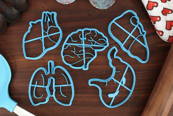 Anatomical Organs Cookie Cutters, Set 1 - Human Brain, Heart , Liver, Lung, Stomach Body Parts