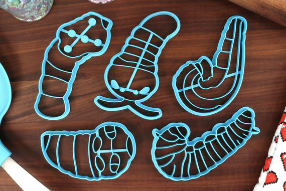 Butterfly Caterpillars Cookie Cutters - Long-tailed Skipper, Monarch Caterpillar, Orange Dog Caterpillar, Spicebush - Caterpillars Cookies