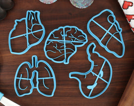 Anatomical Organs Cookie Cutters, Set 1 - Human Brain, Heart , Liver, Lung, Stomach Body Parts